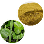 CISSUS OR PIRANDAI POWDER