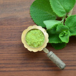 KARPOORAVALLI POWDER