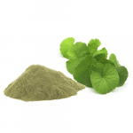 KUPPAIMENI OR INDIAN NETTLE POWDER